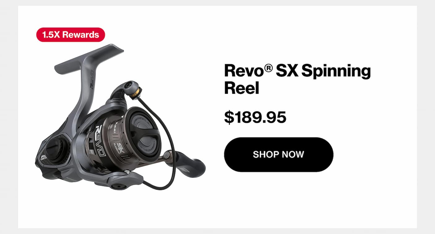 Revo SX Spinning Reel