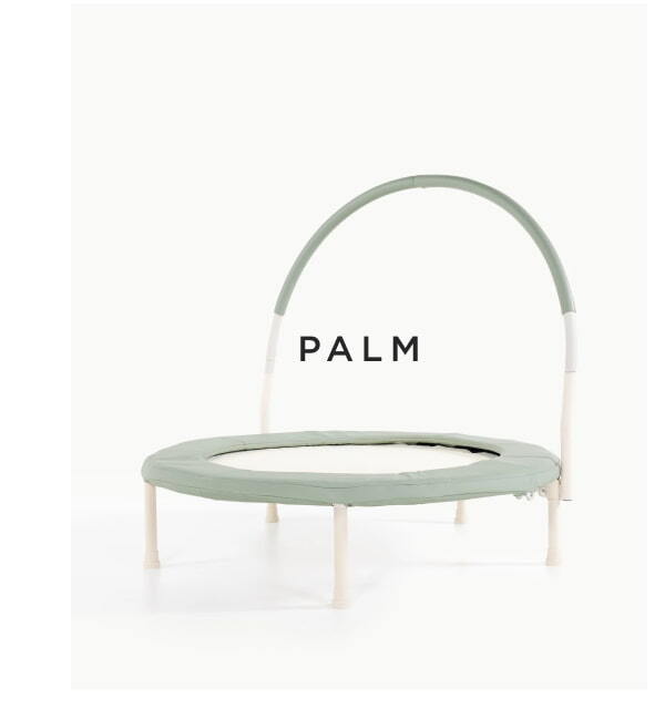 PALM
