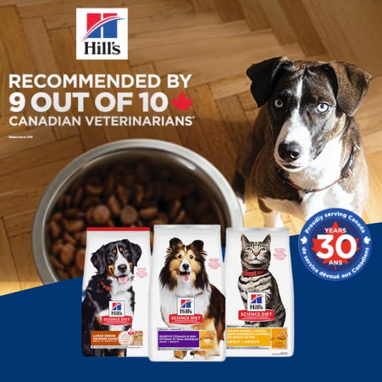 Product Ad