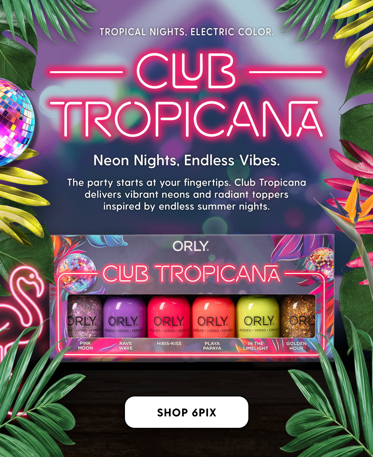 Summer 2026: Club Tropicana