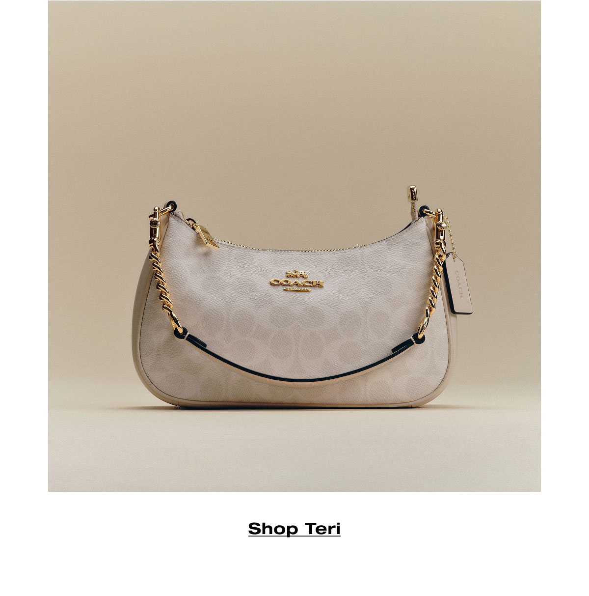 Shop Teri 