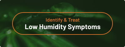 Identify and Treat - Low Humidity Symptoms