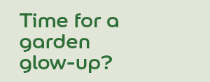 Time for a garden glow-up?