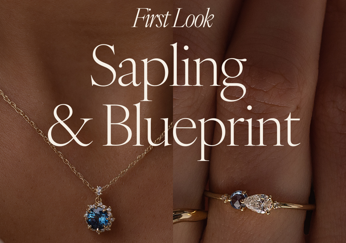 First Look: Sapling & Blueprint