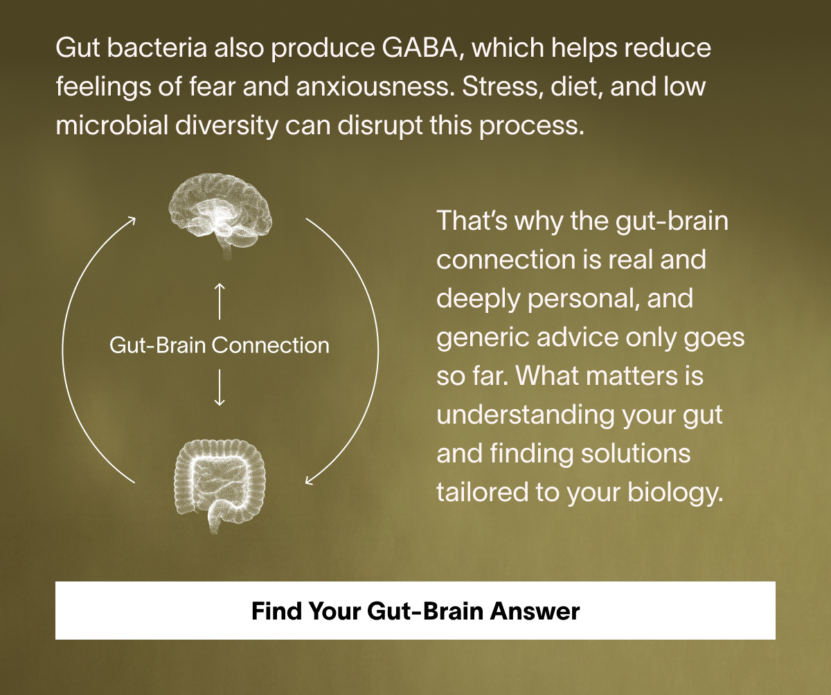 Gut bacteria also produce GABA, which helps reduce feelings of fear and anxiousness. Stress, diet, and low microbial diversity can disrupt this process.