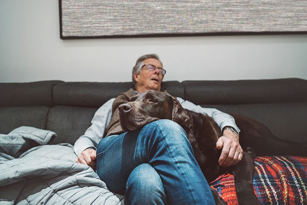 A man sleeps reclined on a sofa, with his chocolate labrador, also asleep, resting on his crossed legs.