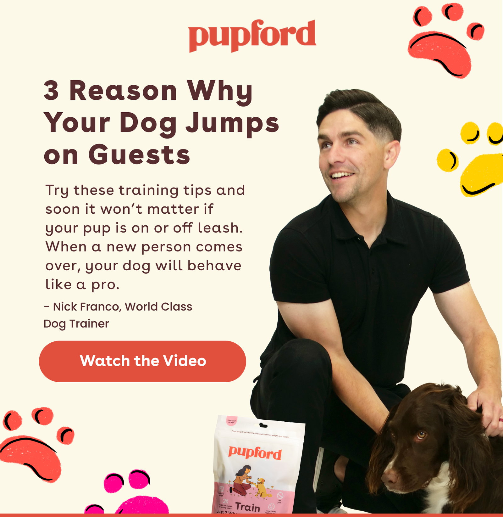 3 reasons why your dog jumps on guests