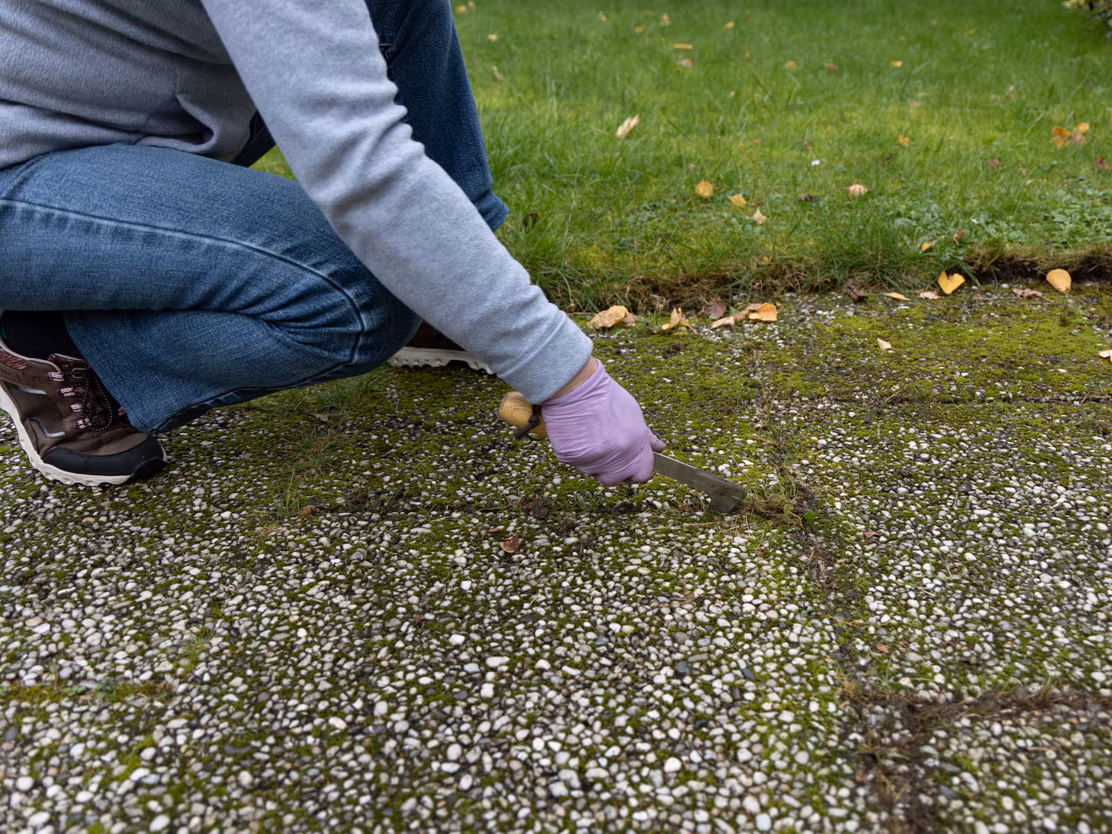 Groene aanslag op je tuintegels? Dit kun je beter niet doen