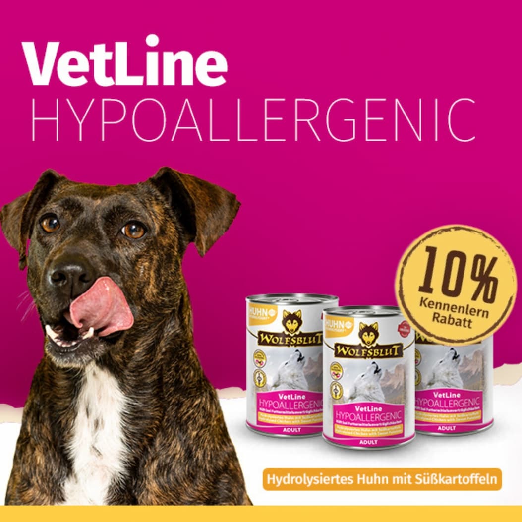 Hund mit Hypoallergenem Nassfutter