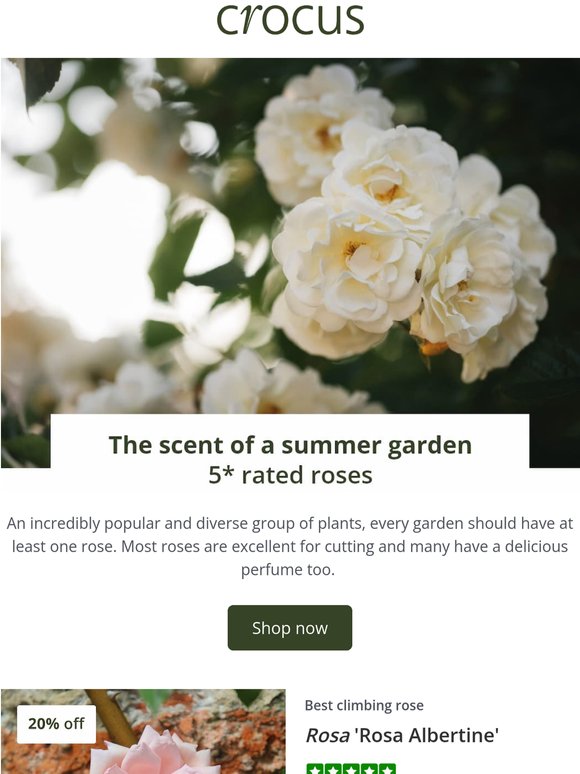 Blooming good savings | Save 20%