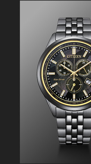 Classic LIGHT in BLACK  -  AT2576-68E