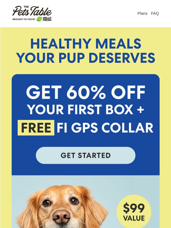 Feeding your pup just got A LOT easier