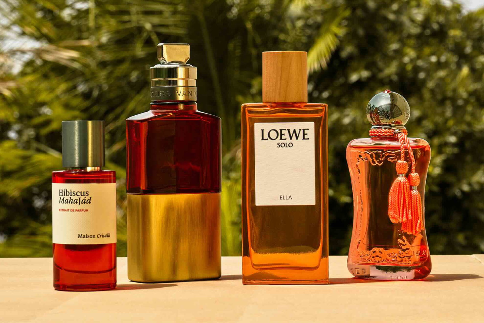 From citrus brightness to sun-warmed florals and lingering woods, explore fragrances that wear like summer on skin
