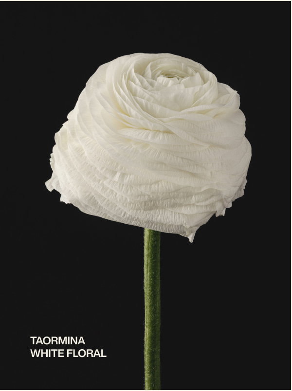 taormina | white floral