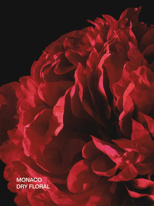 monaco | dry floral