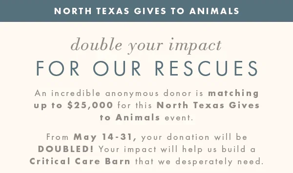 Double your impact for our rescues