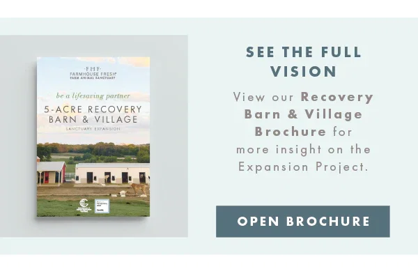 See the full vision - open brochure