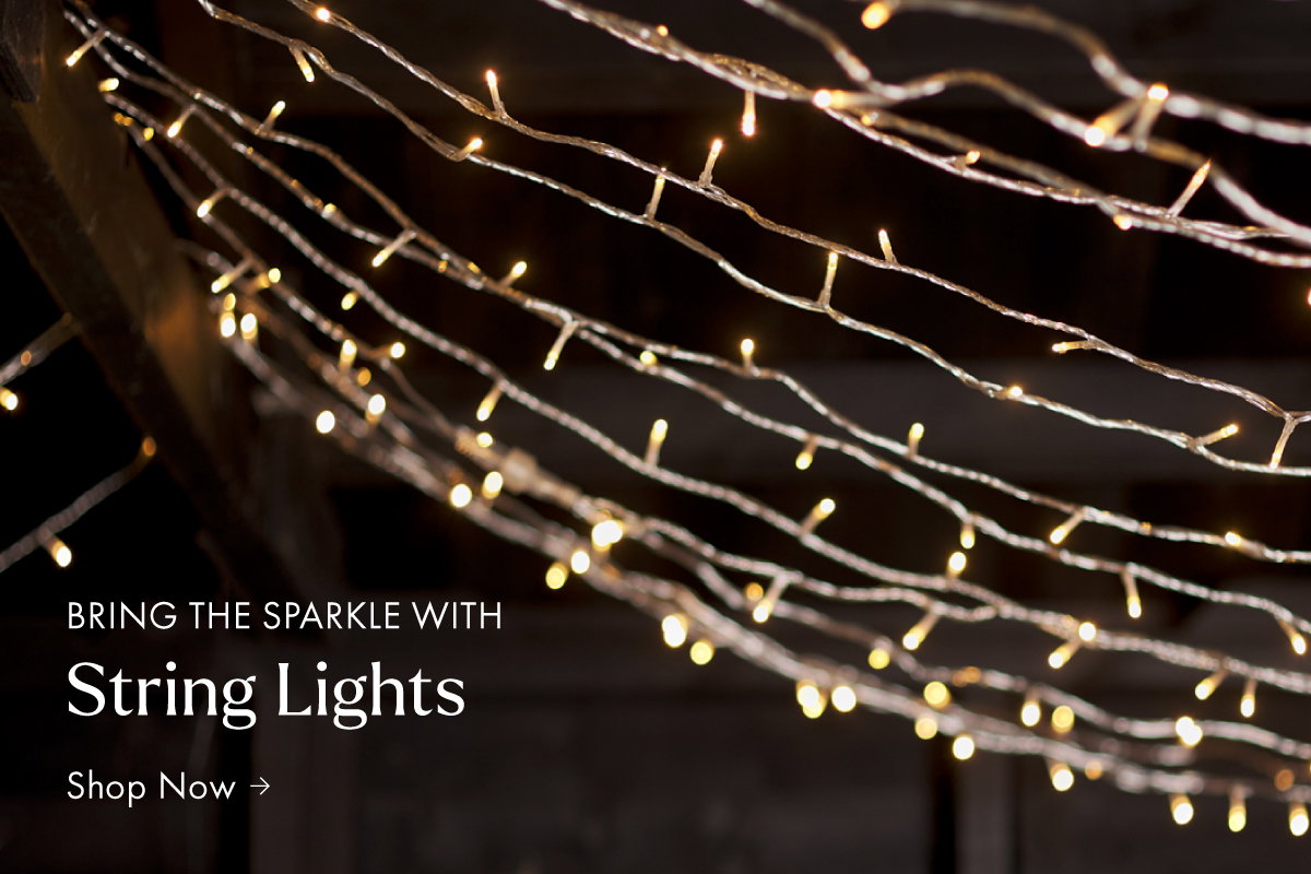 Fairy lights