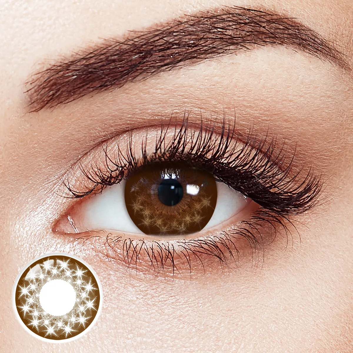 Starlit Cocoa 6 Months Contact Lenses | 2 Pcs