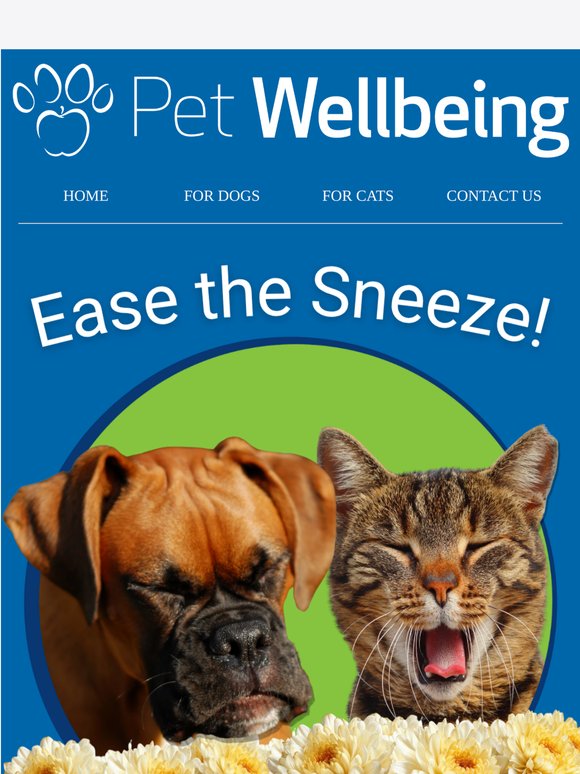 Sneezing, Itchy Eyes? It Might Be Allergies