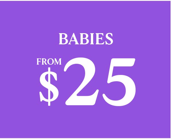 Babies From $25