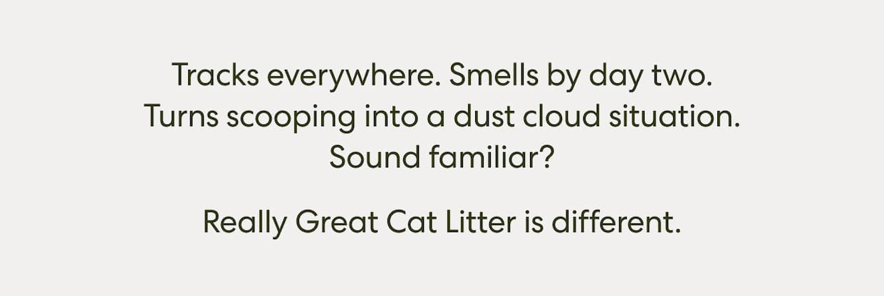 It's time to upgrade your litter.