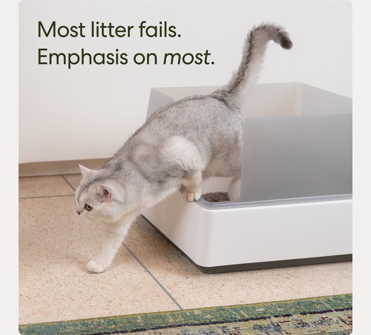 It's time to upgrade your litter.