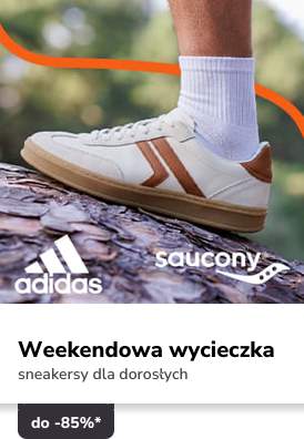 Campaign 5