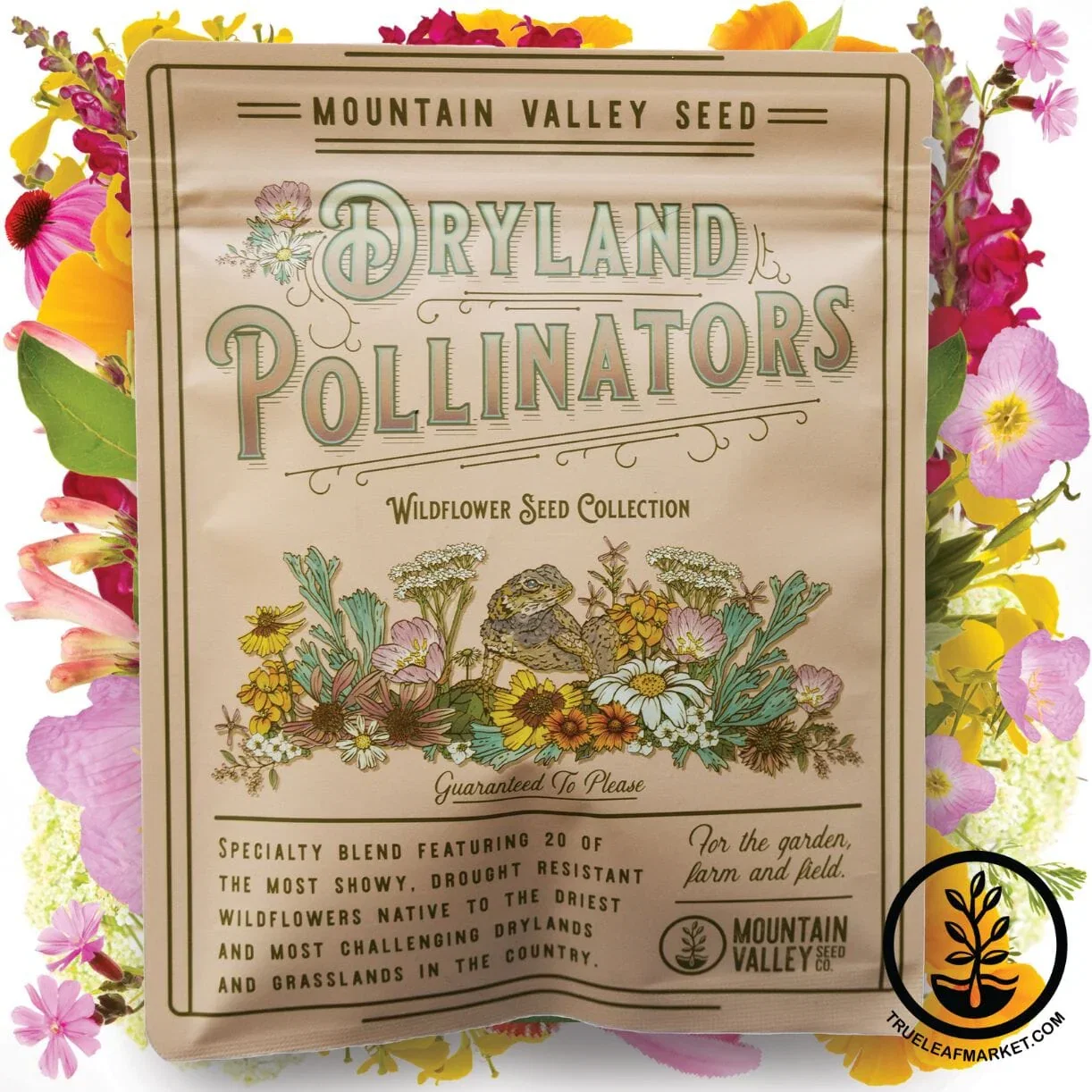 Wildflower Seeds - Dryland Pollinators