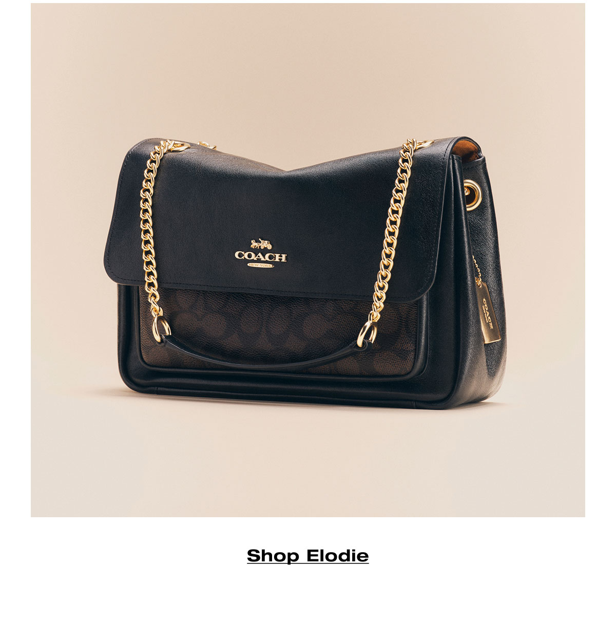Shop Elodie