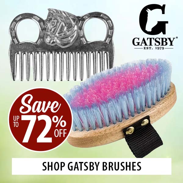 Shop Gatsby Brushes and Save up to 72% Off