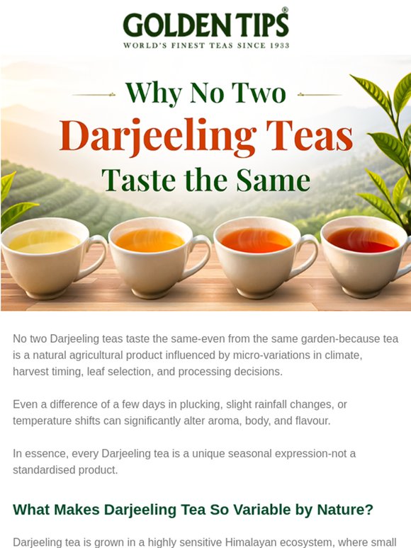 Why No Two Darjeeling Teas Taste the Same