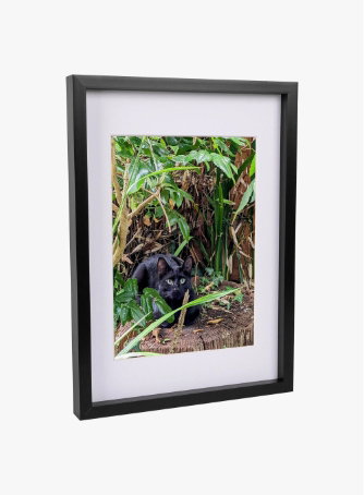 A3 (12" x 17") 3D Box Photo Frame with A4 Mount