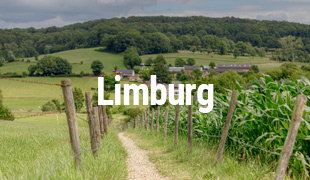 Goedkoop naar Limburg