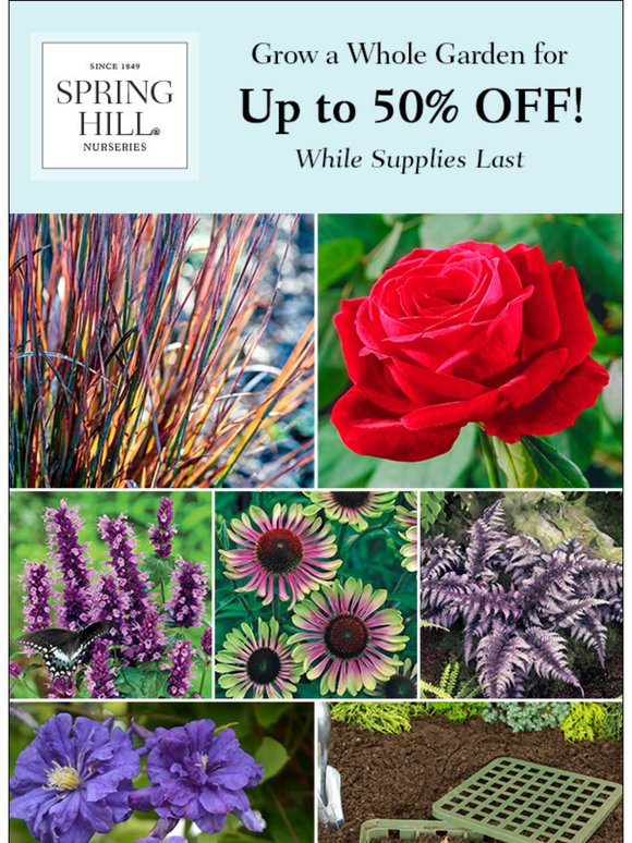 SALE | Save up to 50% on a whole garden!