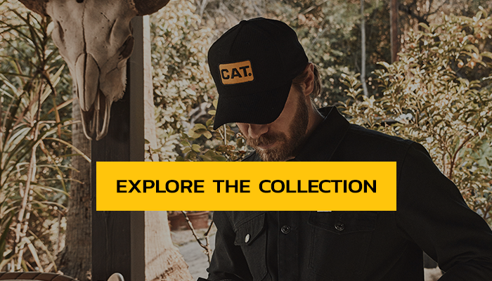Explore the Collection