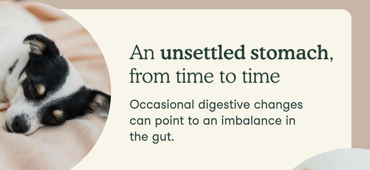 An unsettled stomach, from time to time