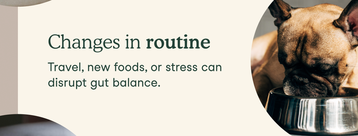 Changes in routine