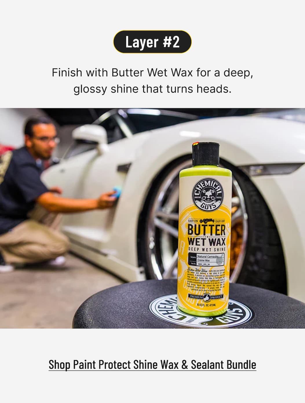 Shop Paint Protect Shine Wax & Sealant Bundle