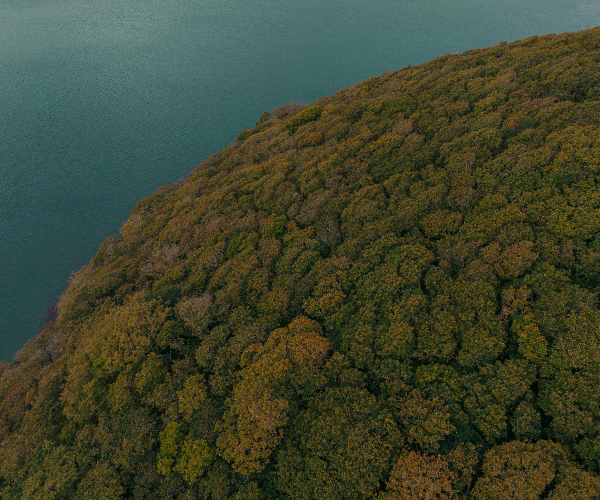 No Trees No Seas | Finisterre