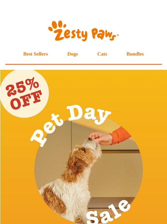 💥 Time is running out! 25% OFF ends tomorrow! ⏳