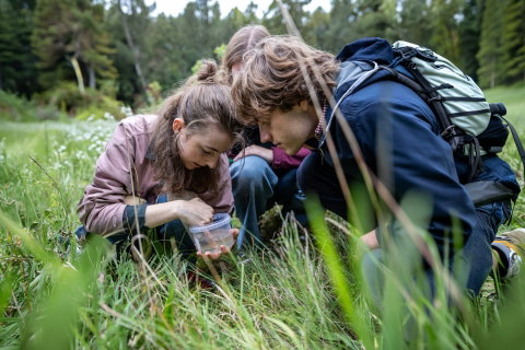 BioBlitz