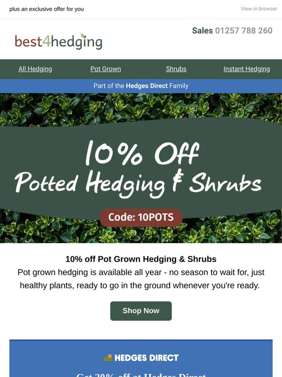 Your discount codes are here 🌱