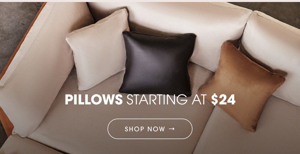 SHOP PILLOWS starting at $24