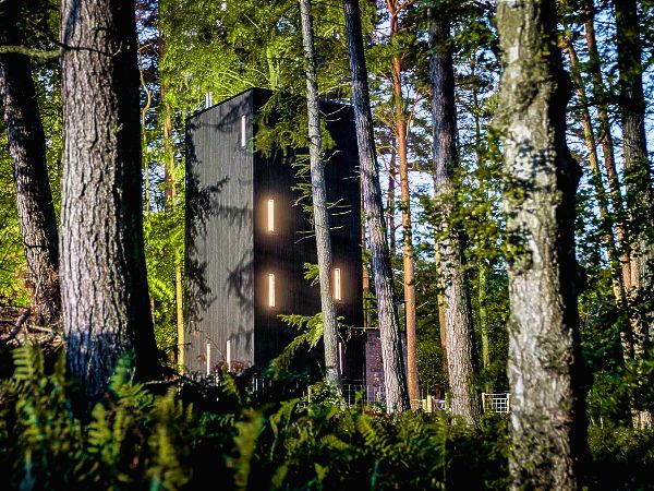Raven - watchtower in the Northumberland woods
