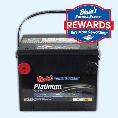 Image of Blain's Farm & Fleet Platinum Battery