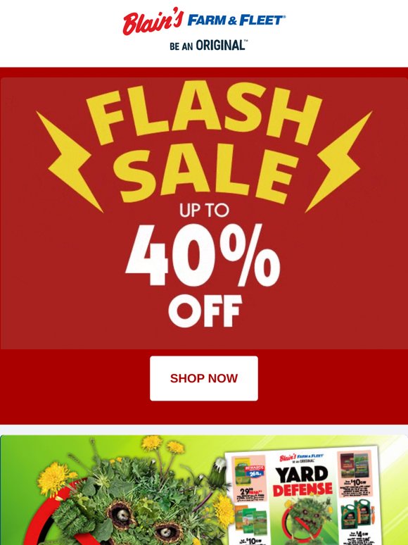 Suprise! It's a Flash Sale!