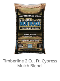 Product Recommendation 1