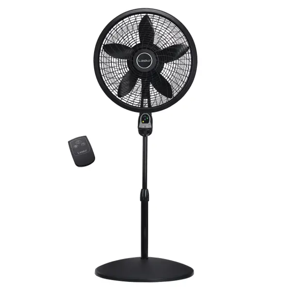 Black Pedestal Fan