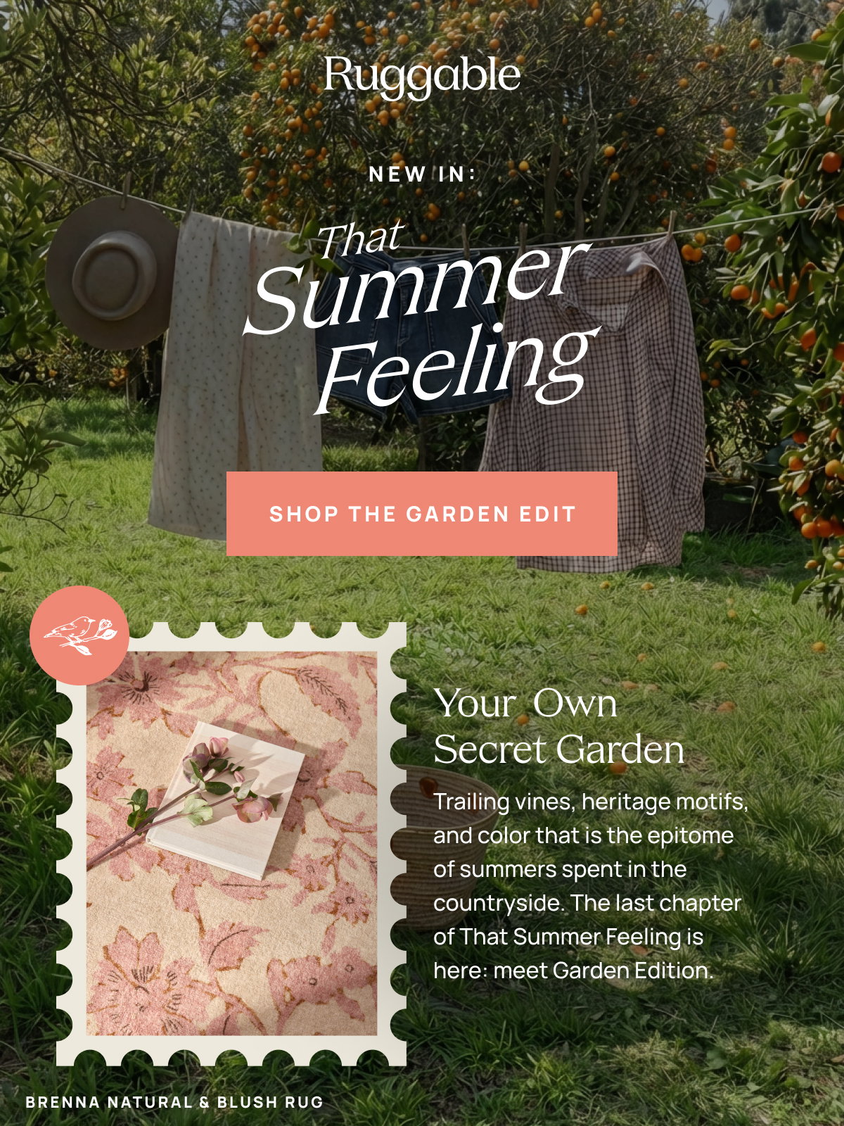 Shop The New Collection 